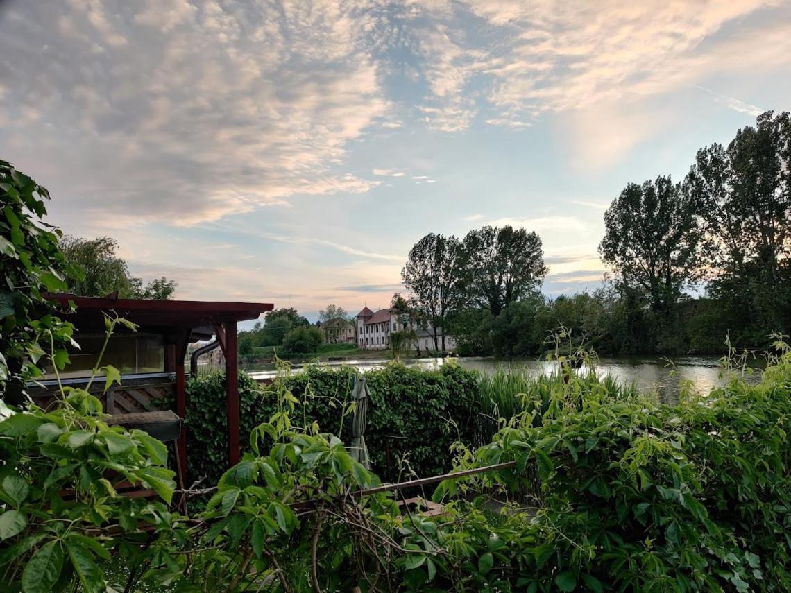 Tobak Vendeghaz Villa Békésszentandrás Buitenkant foto